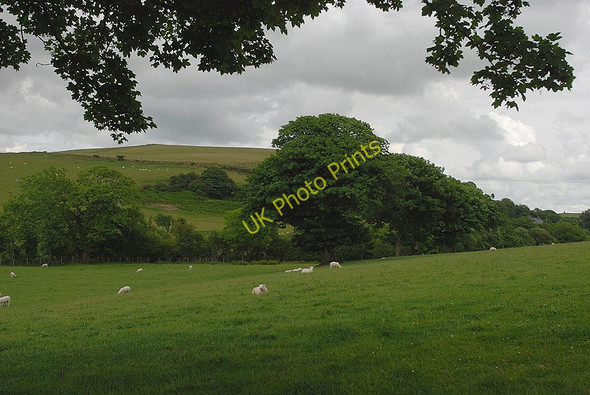 Photo 6"x4" Field above the Afon Fad Blaenplwyf\/SN5775 c2010