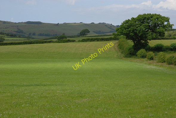 Photo 6"x4" Field north of Rhos-y-garth Rhos-y-garth c2010