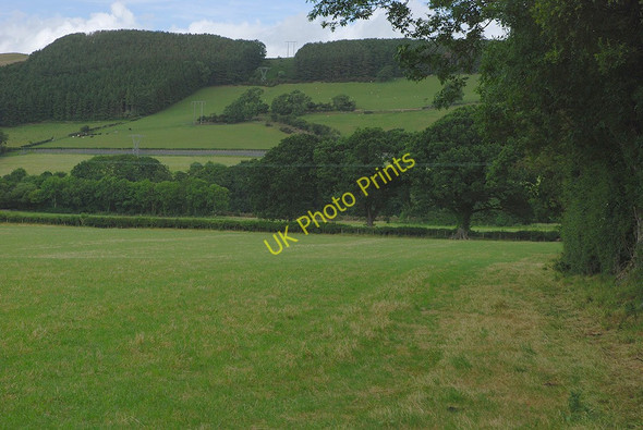 Photo 6"x4" Field in the Ystwyth valley Abermagwr c2010 P1