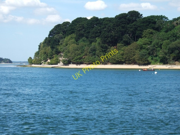 Photo 6"x4" Woods on southeast corner of Brownsea Island Sandbanks c2010