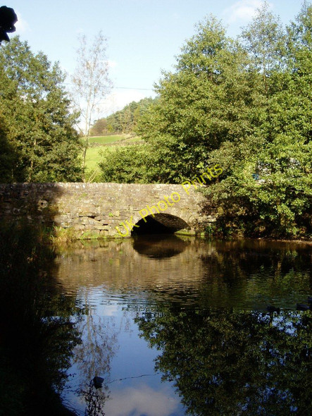 Photo 6"x4" Pond, Lumsdale Valley, Matlock, Derbyshire Matlock c2007