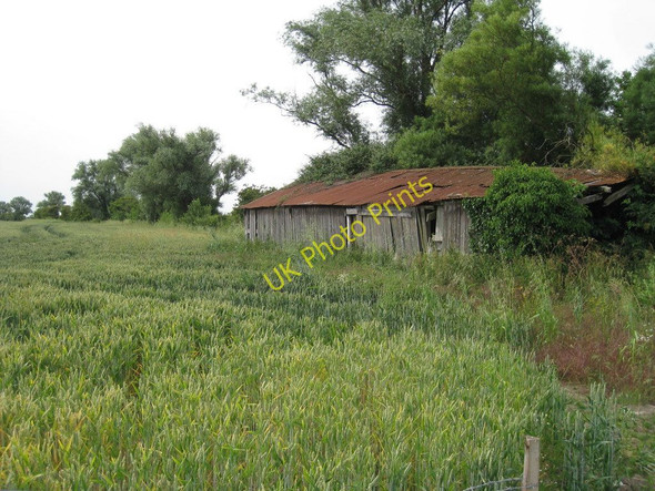 Photo 6"x4" Derelict Shed near Honeywood Farm  Newchurch\/TR0531 c2010