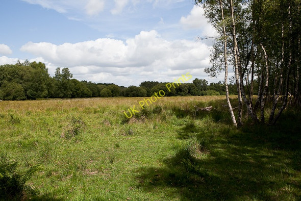 Photo 6"x4" Clearing on Baddesley Common Crampmoor c2010