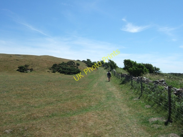 Photo 6"x4" Bronkham Hill Coryates c2010