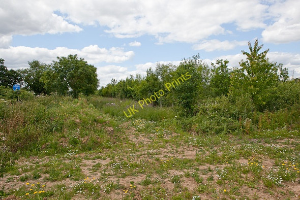 Photo 6"x4" Screening strip on Warren Farm Nutburn c2010