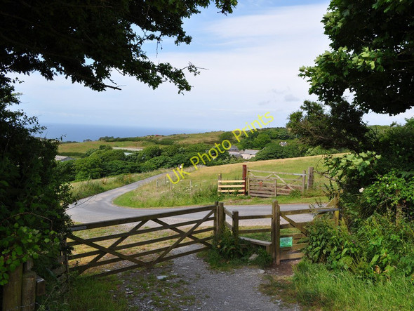 Photo 6"x4" Approaching Damage Barton Higher Warcombe c2010