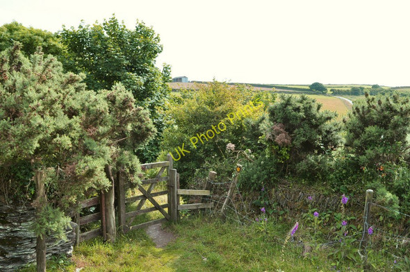Photo 6"x4" A gate on the footpath between Higher Warcombe and Damage Barton Higher Warcombe c2010