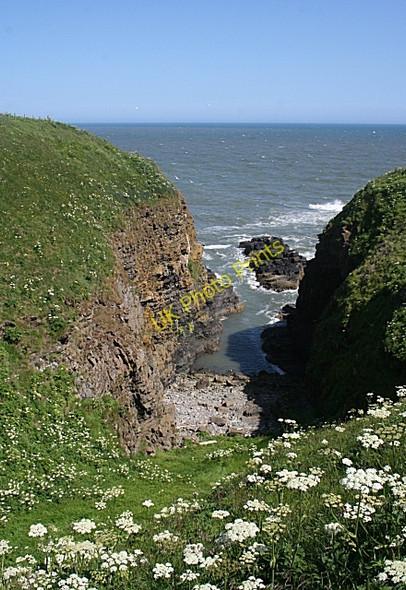 Photo 6"x4" Gully Near Bruce's Haven Whinnyfold c2010