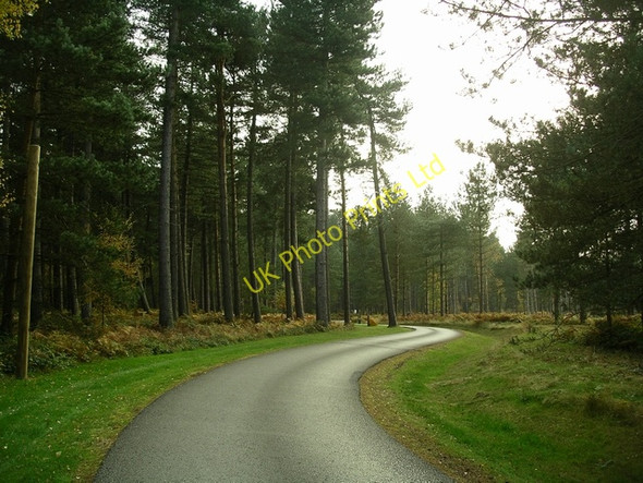 Photo 6"x4" Sherwood Pines Forest Park Lidgett c2007