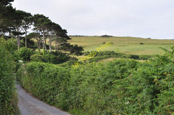 Photo 6"x4" Warcombe Lane winding up towards Higher Warcombe Higher Warcombe c2010