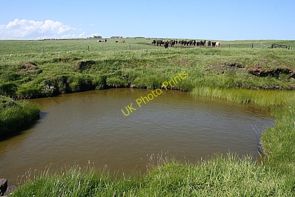 Photo 6"x4" Clifftop Pool Whinnyfold c2010