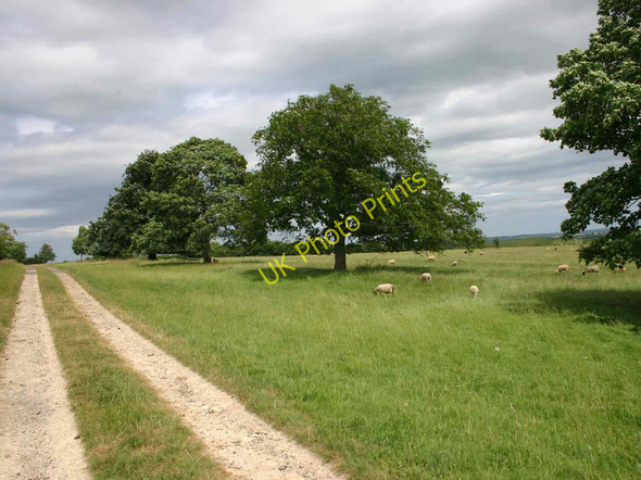 Photo 6"x4" Driveway from Compton Scorpion Manor Charingworth c2010