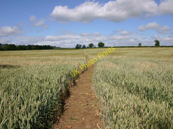 Photo 6"x4" Footpath to Ilmington from Darlingscott Darlingscott c2010