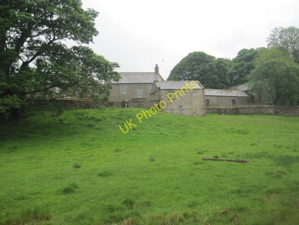 Photo 6"x4" The Ash Stonehaugh c2010