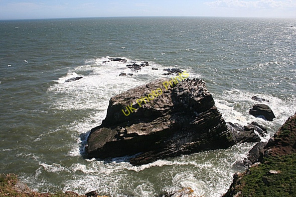 Photo 6"x4" Seabird City Whinnyfold c2010
