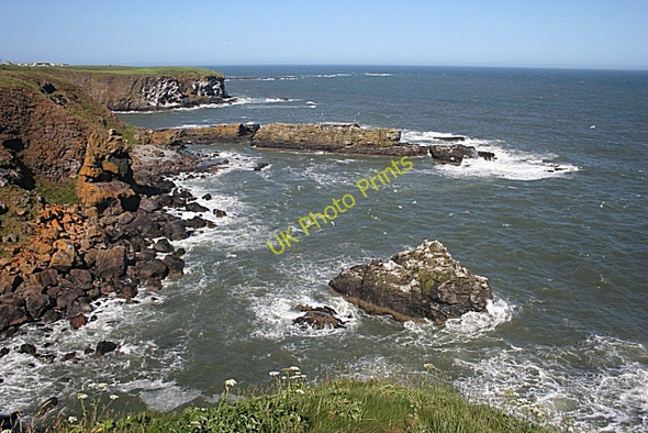 Photo 6"x4" Skellyis of Harrol and Inch Peel Whinnyfold c2010