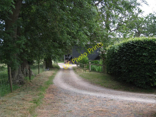 Photo 6"x4" Track to Barn at Chittenden Cooper's Corner\/TQ4849 c2010
