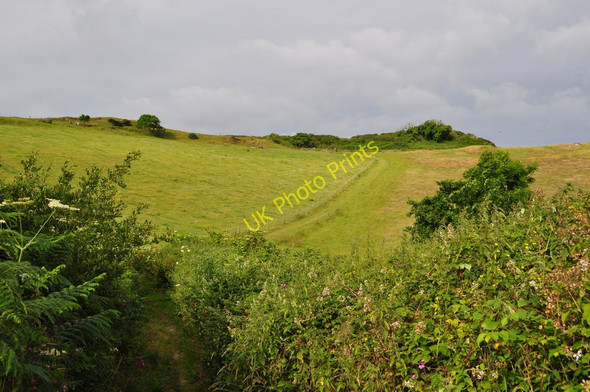 Photo 6"x4" A footpath from Warcombe Lane to Damage Barton following the line of the fence Higher Warcombe c2010