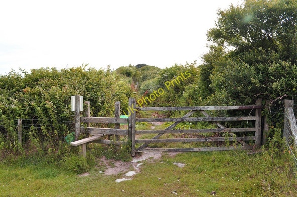 Photo 6"x4" A stile a short distance from Warcombe Lane Higher Warcombe c2010