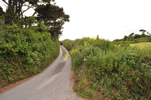 Photo 6"x4" Warcombe Lane heading towards Higher Warcombe Higher Warcombe c2010