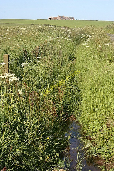 Photo 6"x4" Roadside Ditch Whinnyfold c2010