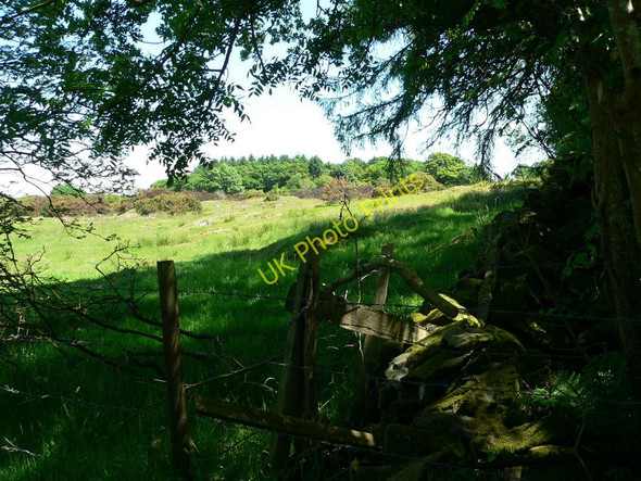 Photo 6"x4" Field corner, variably fenced Spittal\/NX3657 c2010