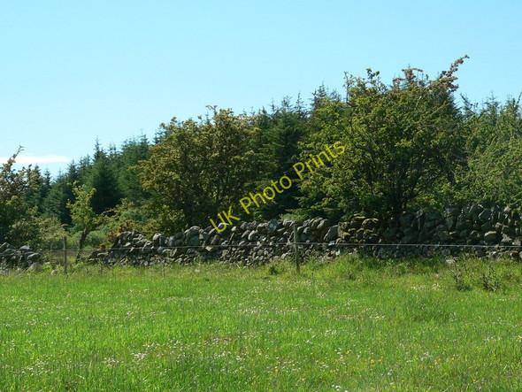 Photo 6"x4" Gap between two woods Wood Fell c2010