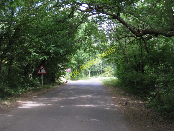 Photo 6"x4" Beech Green Lane Balls Green\/TQ4936 c2010
