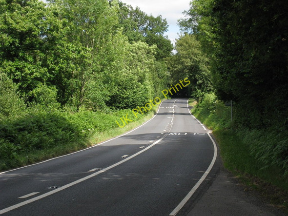 Photo 6"x4" A264, Holtye Road Hammerwood c2010