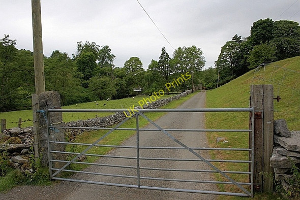 Photo 6"x4" Pilsbury Road at Ludwell Farm Sheen c2010