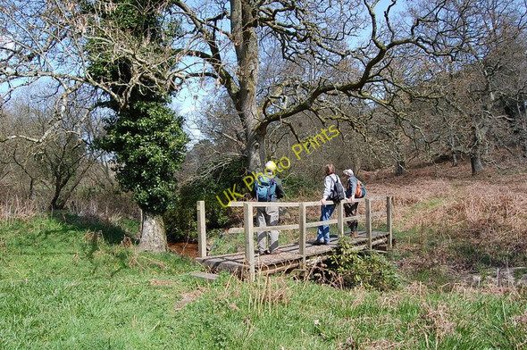 Photo 6"x4" Footbridge over Hamer brook Lower Turmer c2010