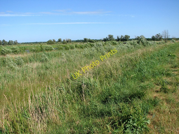 Photo 6"x4" A drainage channel hidden by reeds Burgh St Peter c2010