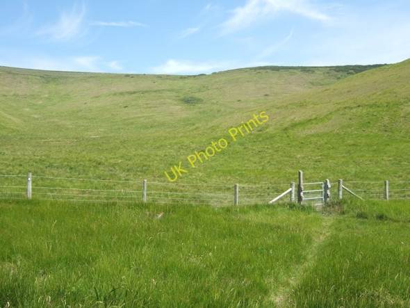 Photo 6"x4" Valley leading north into The Warren Chaldon Herring or East Chaldon c2010