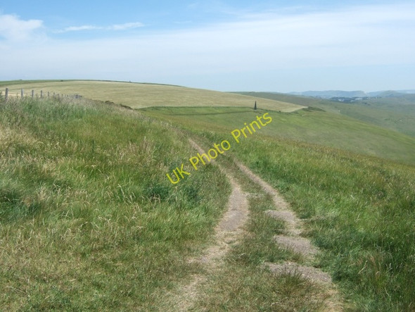 Photo 6"x4" South West Coast Path in West Bottom Chaldon Herring or East Chaldon c2010