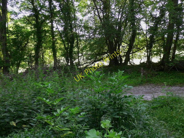 Photo 6"x4" Track junction on Bepton Down Bepton c2010