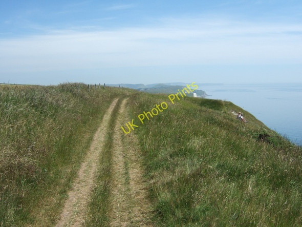 Photo 6"x4" South West Coast Path in The Warren (looking east) Chaldon Herring or East Chaldon c2010