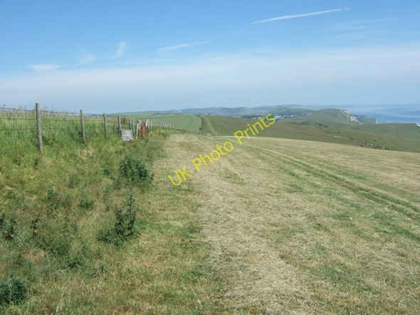 Photo 6"x4" Footpath going east on The Warren Chaldon Herring or East Chaldon c2010