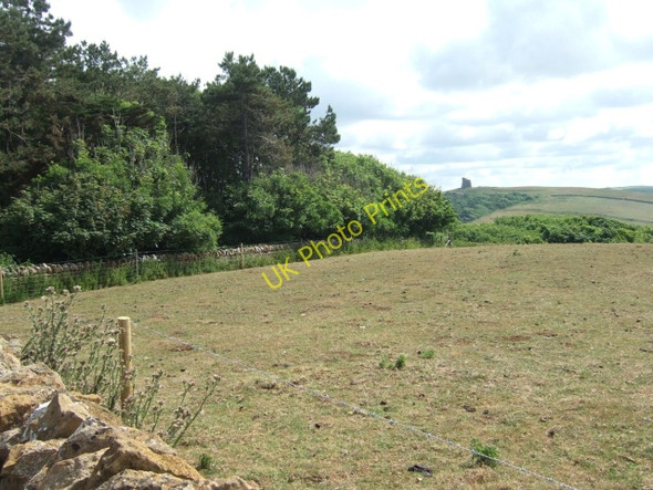 Photo 6"x4" From the viewpoint, Abbotsbury subtropical gardens Abbotsbury\/SY5785 c2010