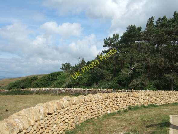 Photo 6"x4" From the viewpoint, Abbotsbury subtropical gardens Abbotsbury\/SY5785 c2010 P1