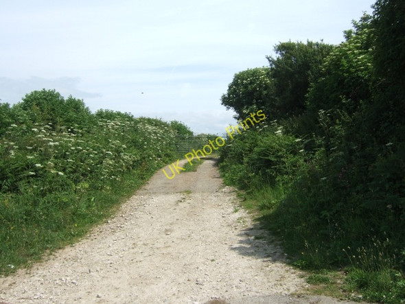 Photo 6"x4" Farm track leading to fields east of Clay Lane Puncknowle c2010