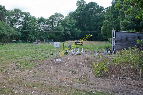 Photo 6"x4" Field off Green Lane Gosport\/SU3922 c2010