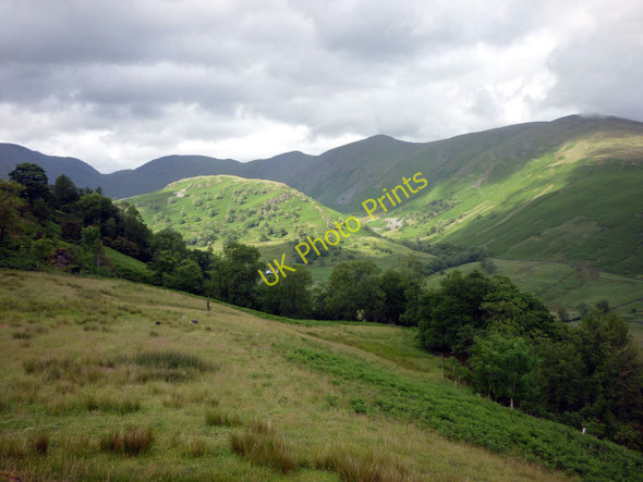 Photo 6"x4" Rough pasture, Troutbeck High Green\/NY4103 c2010