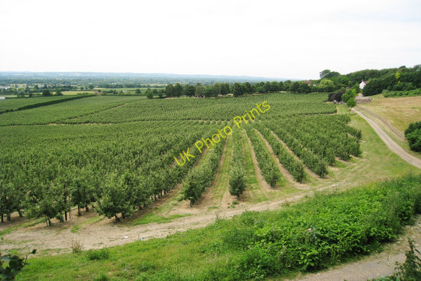 Photo 6"x4" Orchards at Linton Linton\/TQ7549 c2010