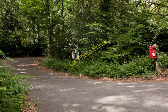 Photo 6"x4" Access Road off The Straight Mile Crampmoor c2010