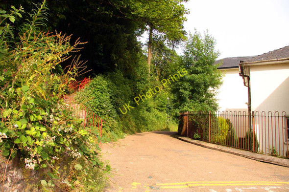 Photo 6"x4" The path into Pontypool Park Pontypool\/Pont-y-pwl c2010