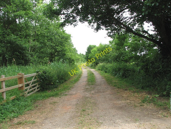 Photo 6"x4" Track to the River Waveney North Cove c2010