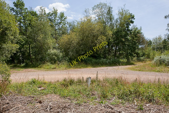 Photo 6"x4" Track and footpath junction in Ampfield Wood Crampmoor c2010