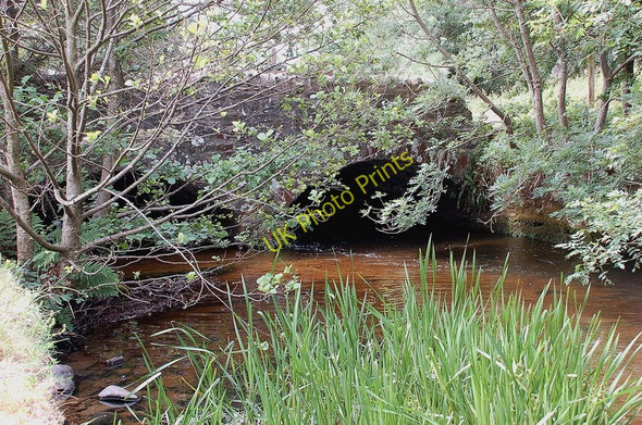 Photo 6"x4" Start of the mill lade, Philiphaugh Philiphaugh c2010