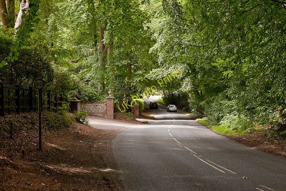 Photo 6"x4" Descent on Jermyns Lane Crampmoor c2010