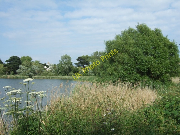 Photo 6"x4" In the RSPB reserve at Radipole Lake Weymouth\/SY6779 c2010